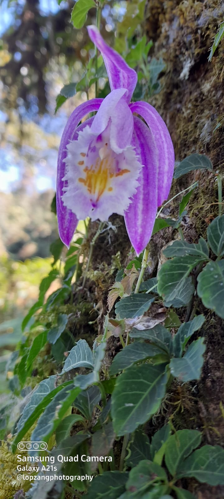 WhatsApp Image 2023-03-10 at 3.44.41 PM